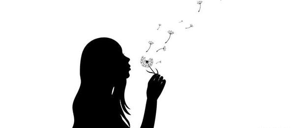 عکس سیاه و سفید قاصدک