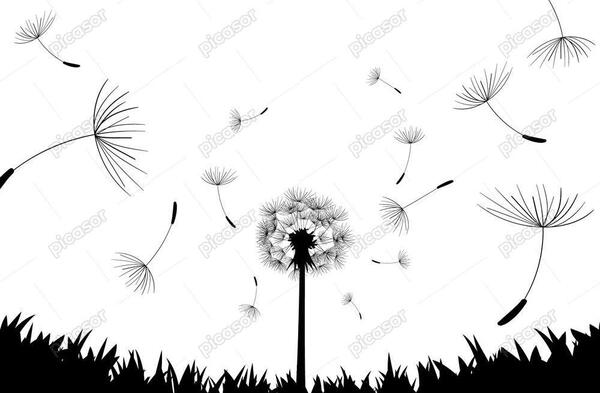 عکس سیاه و سفید قاصدک