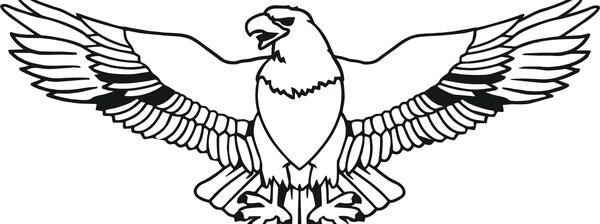 عکس سیاه و سفید عقاب