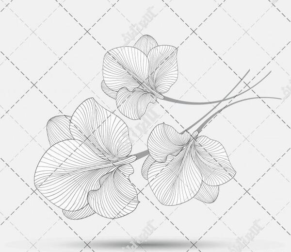 عکس گل سیاه و سفید برای طراحی