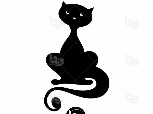 عکس سیاه و سفید بچه گربه