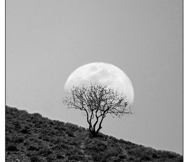 عکس آتلیه ای سیاه و سفید