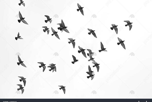 عکس سیاه سفید از آسمان