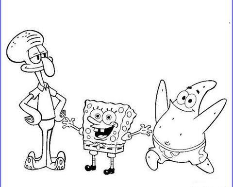عکس سیاه و سفید اختاپوس