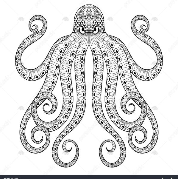عکس سیاه و سفید اختاپوس