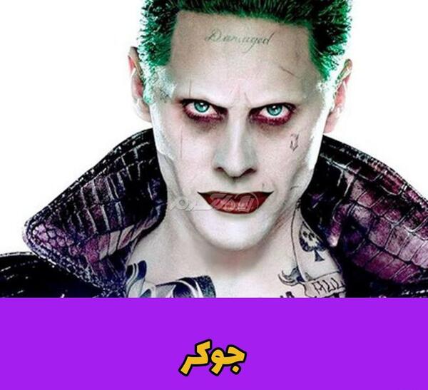 عکس سگ هارلی کویین