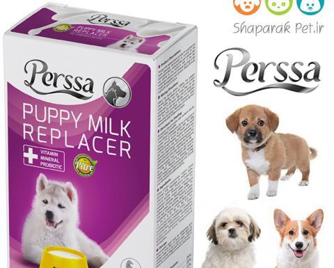 عکس توله سگ یک روزه