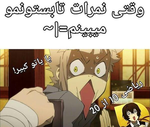 عکس سگ های ولگرد بانگو