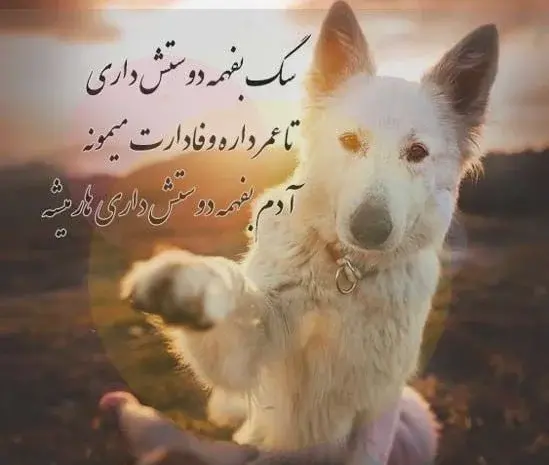 عکس سگ با دختر برای پروفایل