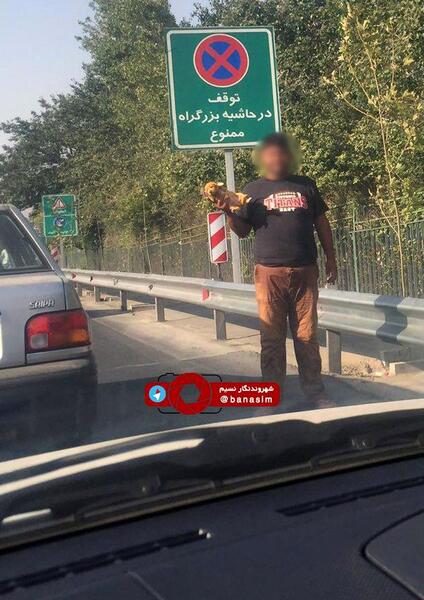 عکس مغازه سگ فروشی