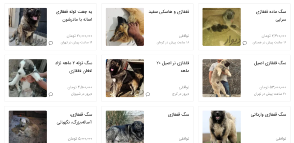 عکس سگ قفقازی توله