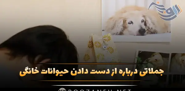 عکس توله سگ غمگین