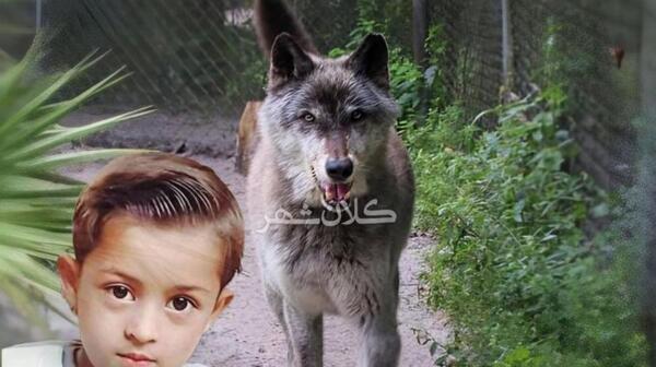 عکس سگ عروس مرده