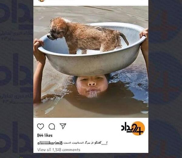 عکس کریم سگ قاتل علی پلنگ