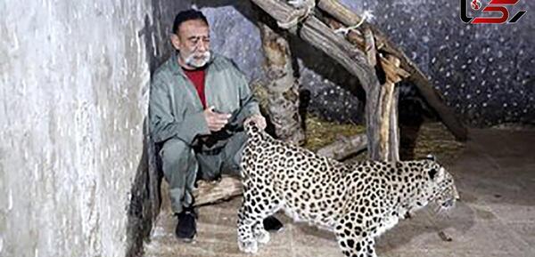 عکس علی پلنگ سگ باز