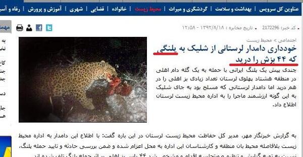 عکس علی پلنگ و سگ هایش