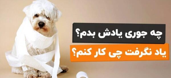 عکس ظرف دستشویی سگ