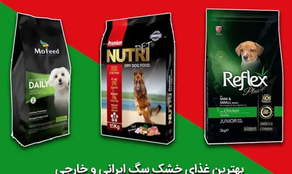 عکس ظرف غذای سگ ها