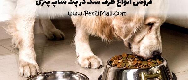 عکس ظرف غذای سگ ها