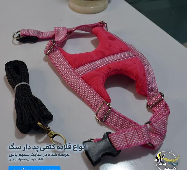 عکس قلاده سگ صورتی