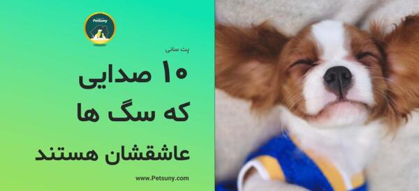 عکس سگ با صدای سگ