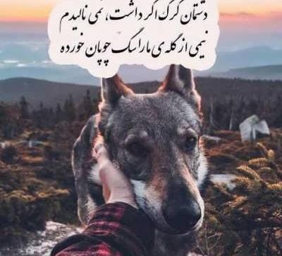 عکس نوشته آدمهای سگ صفت