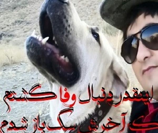 عکس نوشته آدمهای سگ صفت