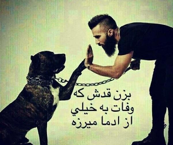 عکس نوشته آدمهای سگ صفت