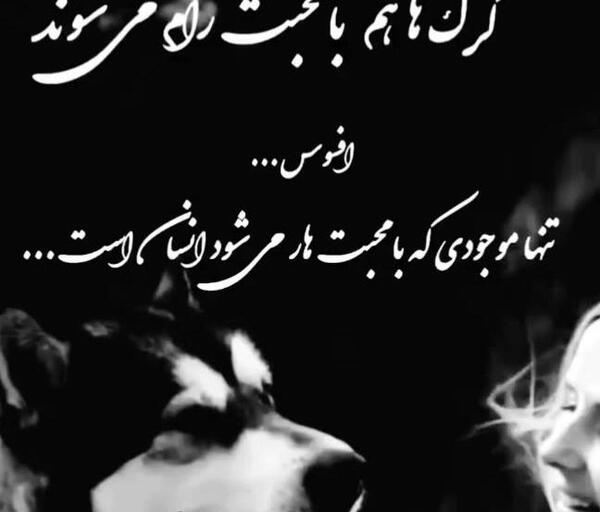 عکس نوشته ادم سگ صفت