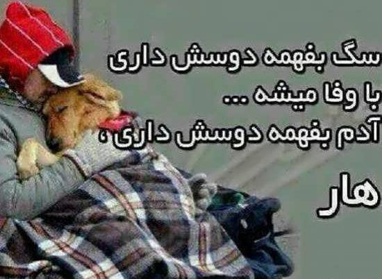 عکس نوشته ادم سگ صفت