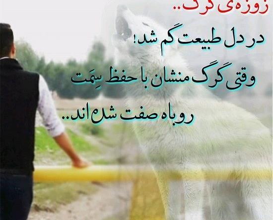 عکس نوشته ادم سگ صفت