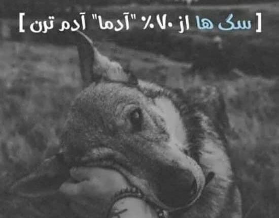 عکس نوشته ادم سگ صفت