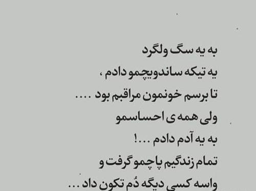 عکس نوشته ادم سگ صفت