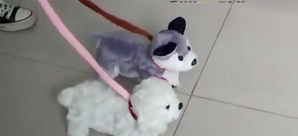 عکس سگ رباتی موجی