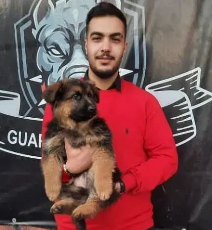 عکس رکس سگ پلیس