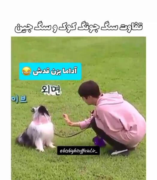 عکس از سگ جونگ کوک