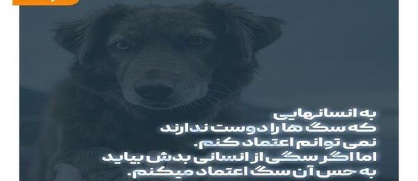 عکس سگ تورا