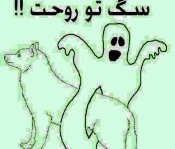 عکس سگ تو روحت