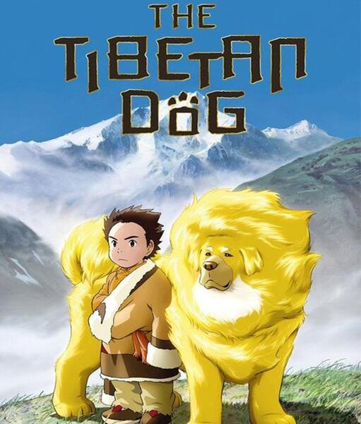 عکس سگ های تبتی