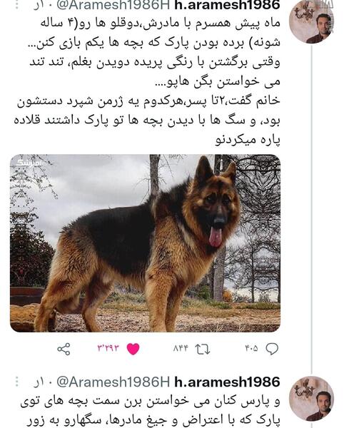 عکس سگ بچه ها