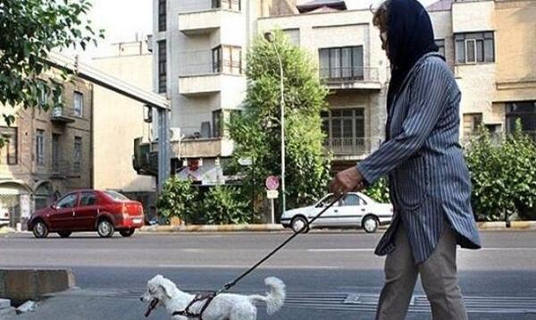 عکس سگ های ادم خوار