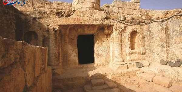 عکس واقعی سگ اصحاب کهف