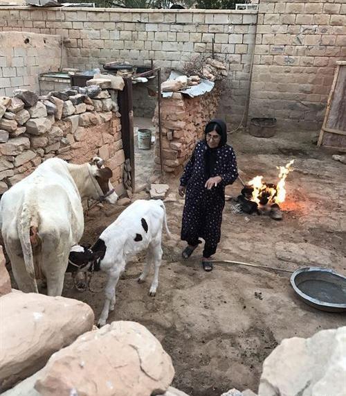 عکس روستای نفت سفید