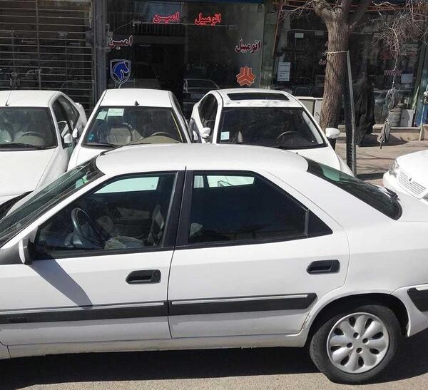 دانلود عکس زانتیا سفید
