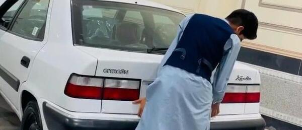 دانلود عکس زانتیا سفید