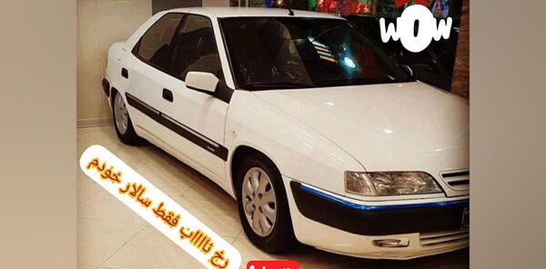 دانلود عکس زانتیا سفید