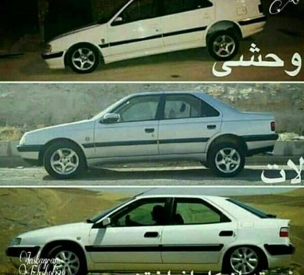 عکس از زانتیا سفید
