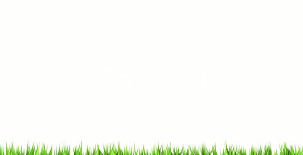 عکس پس زمینه ی سفید خالی