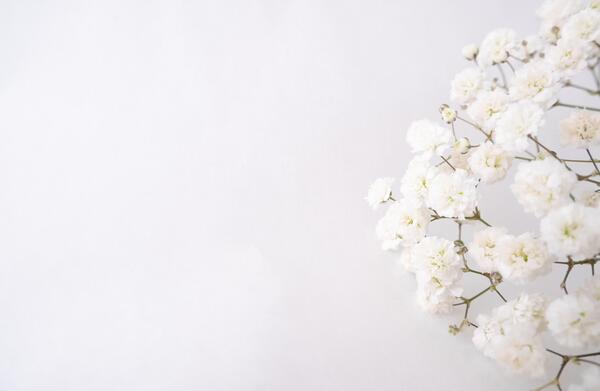عکس پس زمینه ی سفید خالی