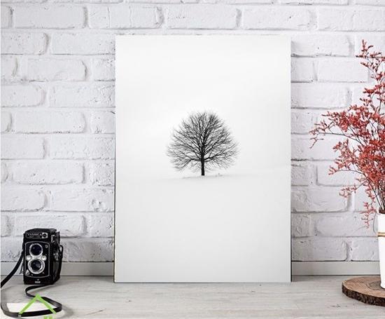عکس سیاه سفید چاپی